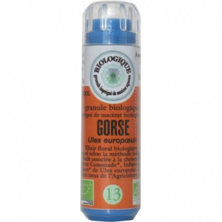 Fleurs Bach n° 13 granules GORSE Fleurs Bach n° 13 granules GORSE