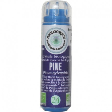 Fleurs Bach n° 24 granules PINE Fleurs Bach n° 24 granules PINE