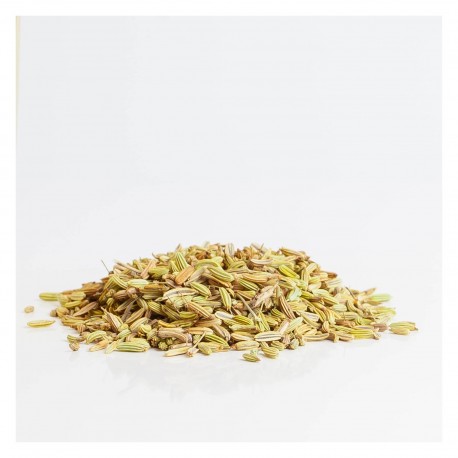 Fenouil 50 gr sachet Fenouil 50 gr sachet