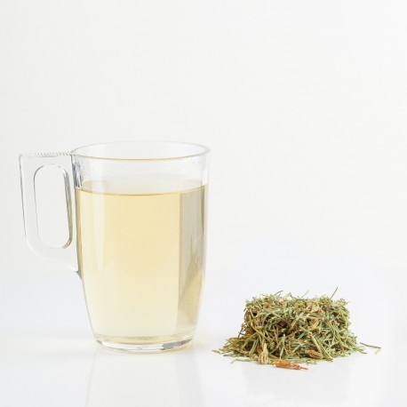 Prêle 25 gr sachet Prêle 25 gr sachet