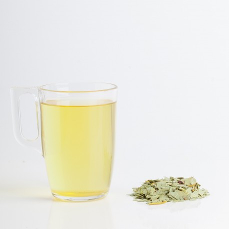 Eucalyptus feuilles 50 gr sachet Eucalyptus feuilles 50 gr sachet