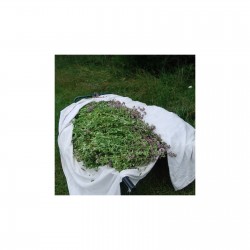 Origan feuilles et fleurs 25 gr sachet