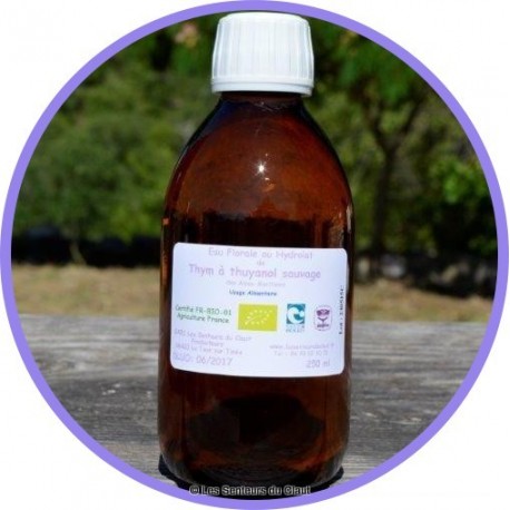 Hydrolat Thym sauvage à thyanol 250 ml Hydrolat Thym sauvage à thyanol 250 ml