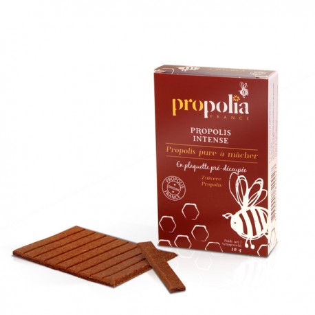 Propolis pure à macher française 10 g Propolis pure à macher française 10 g