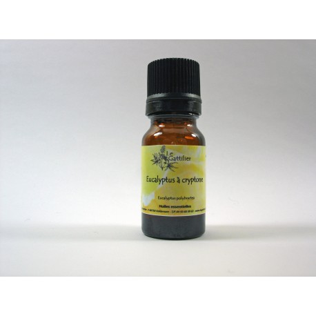 Eucalyptus à cryptone 5ml HE Eucalyptus à cryptone 5ml HE