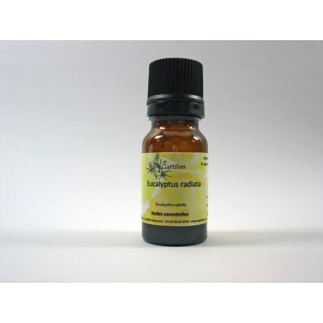 Eucalyptus radiata 5ml HE Eucalyptus radiata 5ml HE