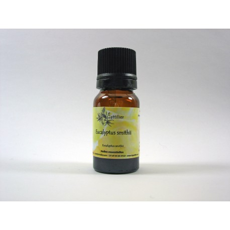 Eucalyptus smithii 5ml HE Eucalyptus smithii 5ml HE