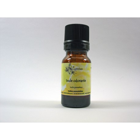 Inule odorante 5ml HE Inule odorante 5ml HE
