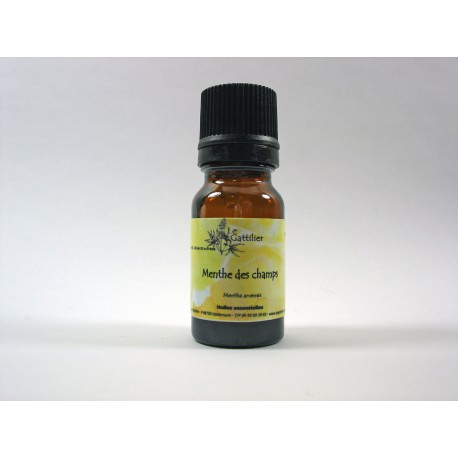 Menthe des champs 5ml HE Menthe des champs 5ml HE