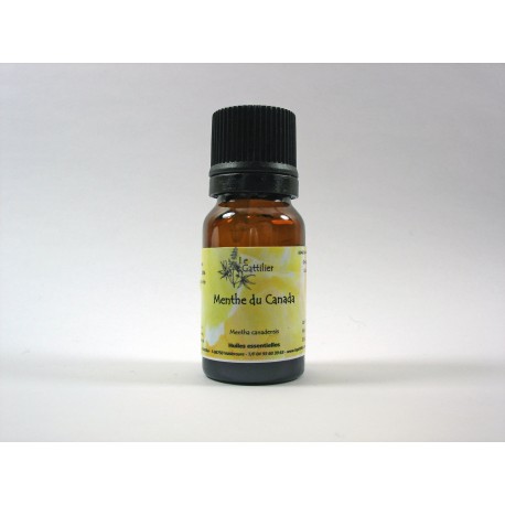Menthe du Canada 5ml HE Menthe du Canada 5ml HE