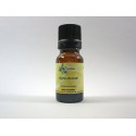 Myrte citronné  5ml HE