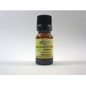 Origan sauvage du Maroc  5ml HE