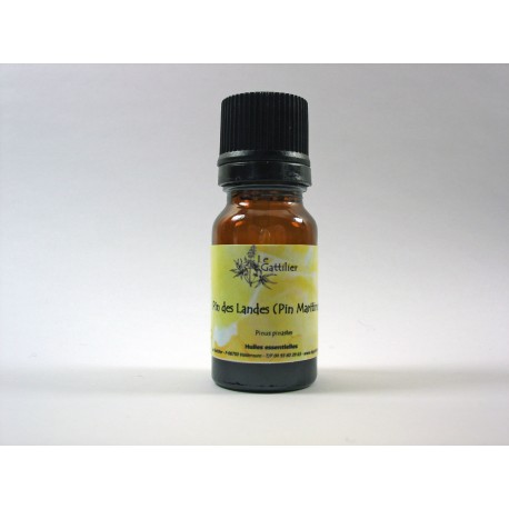 Pin des Landes (Pin Maritime) 5ml HE Pin des Landes (Pin Maritime) 5ml HE