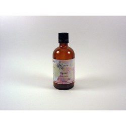 Figuier 50ml EG
