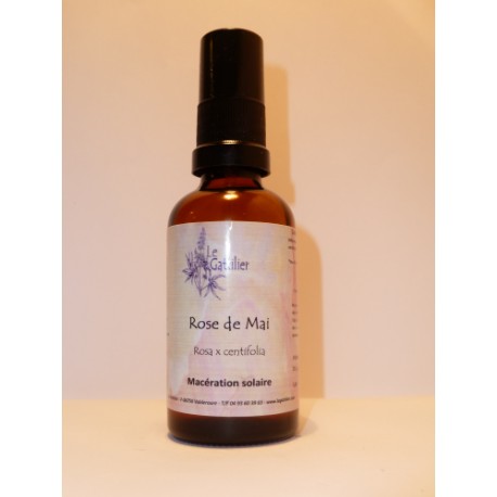 Lumineuse à la rose de mai 100 ML BIOh Lumineuse à la rose de mai 100 ML BIOh