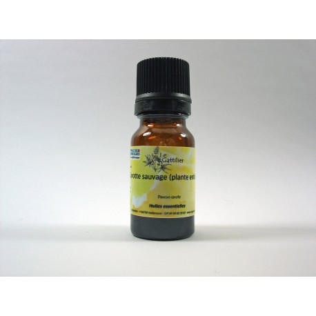 Carotte sauvage (plante entière) 5ml HE Carotte sauvage (plante entière) 5ml HE