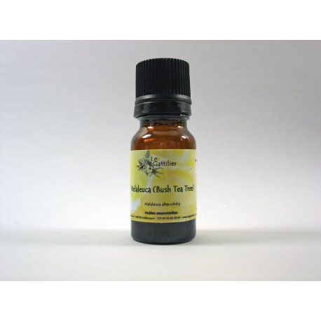 Melaleuca (Bush Tea Tree) 5ml HE Melaleuca (Bush Tea Tree) 5ml HE