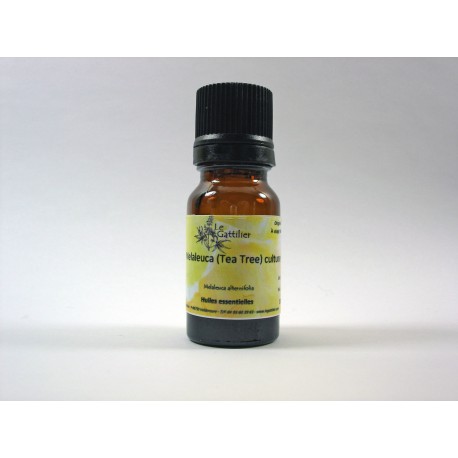Melaleuca (Tea Tree) 5ml HE Melaleuca (Tea Tree) 5ml HE