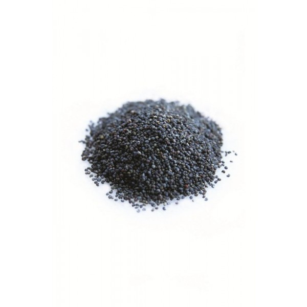 PAVOT BLEU graines 50g PAVOT BLEU graines 50g