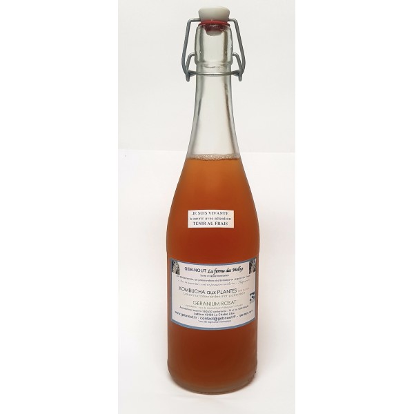 KOMBUCHA PLANTES SAUVAGES 75cl KOMBUCHA PLANTES SAUVAGES 75cl
