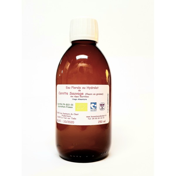 Hydrolat bio de carotte sauvage 250 ml Hydrolat bio de carotte sauvage 250 ml