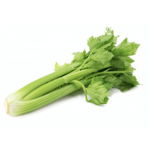 Céleri Branche Vert France