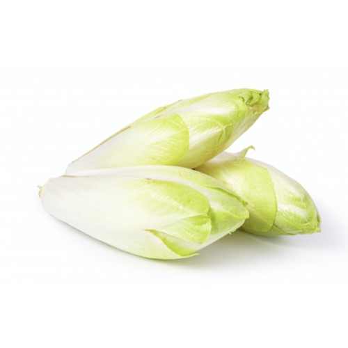 Endive France