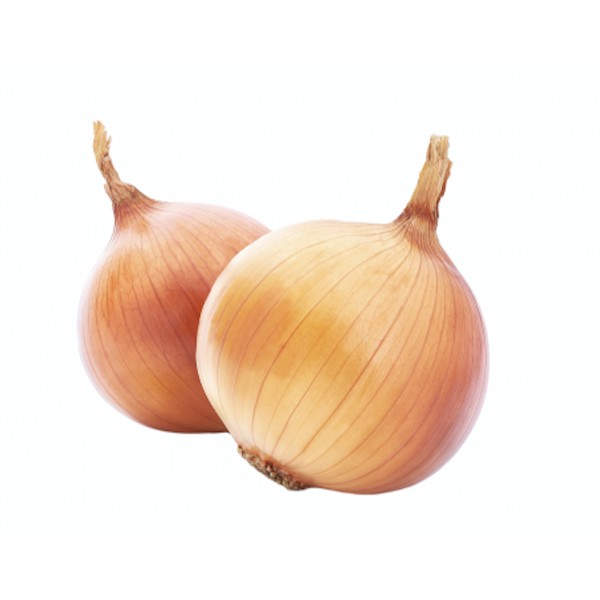 Oignon jaune France Oignon jaune France