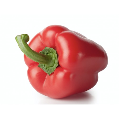 Poivron Rouge Italie Espagne