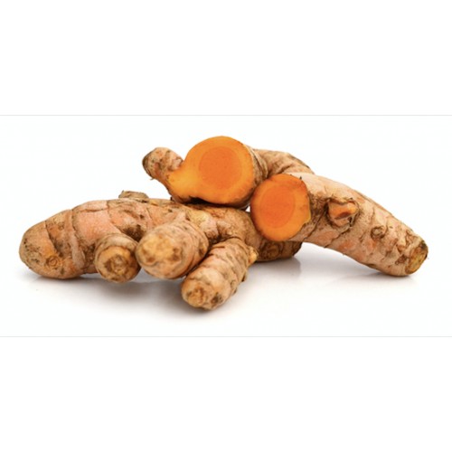 Curcuma Togo