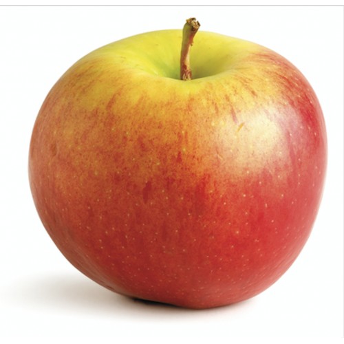 Pomme JULIET France