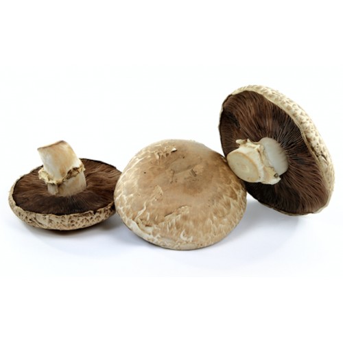 Champignon Paris Portobello France