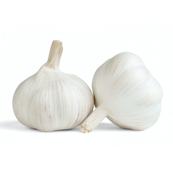 Ail Frais Blanc France (1 tête) Ail Frais Blanc France (1 tête)
