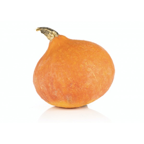 Potimarron Orange France (1 pièce) Potimarron Orange France (1 pièce)