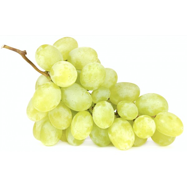 Raisin Blanc VITTORIA Italie (500 g) Raisin Blanc VITTORIA Italie (500 g)