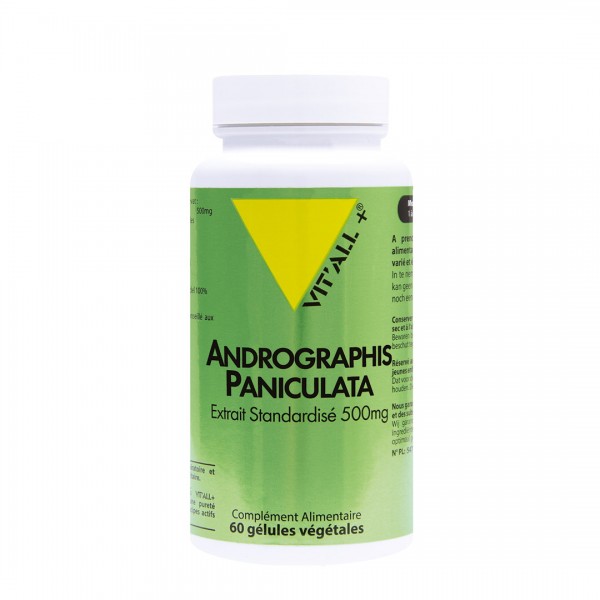 VIT'ALL+ ANDROGRAPHIS PANICULATA 500 MG 60 GELULES VEGETALES VIT'ALL+ ANDROGRAPHIS PANICULATA 500 MG 60 GELULES VEGETALES