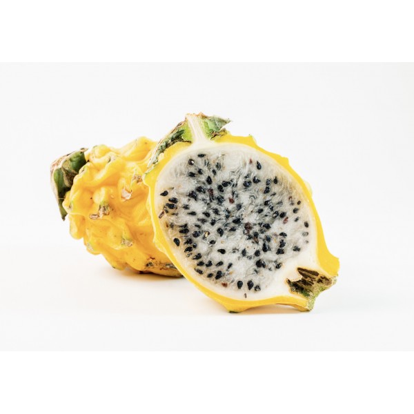 FRUIT DU DRAGON (la pièce) FRUIT DU DRAGON (la pièce)