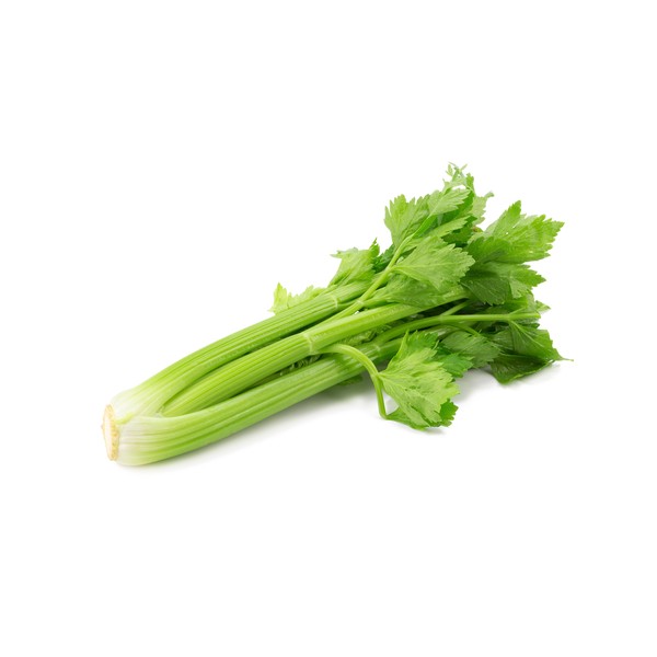 Céleri Branche Vert France (la pièce) Céleri Branche Vert France (la pièce)