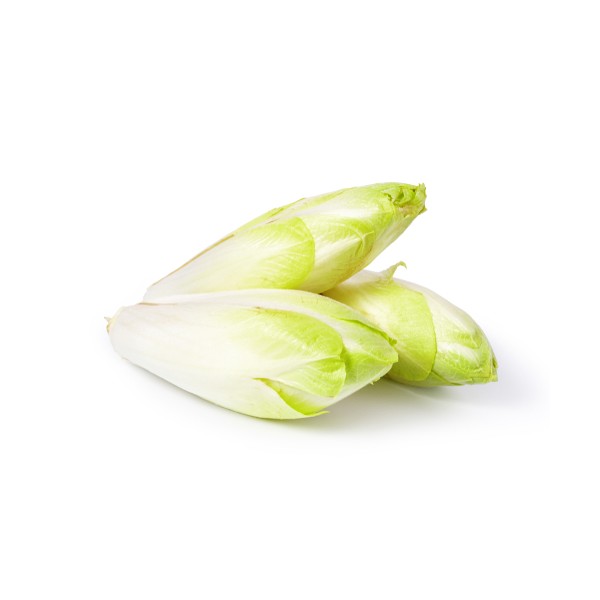 Endive France (4 pièces) Endive France (4 pièces)