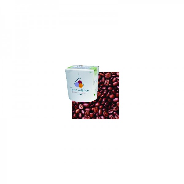 GLACE CAFE 500ml GLACE CAFE 500ml