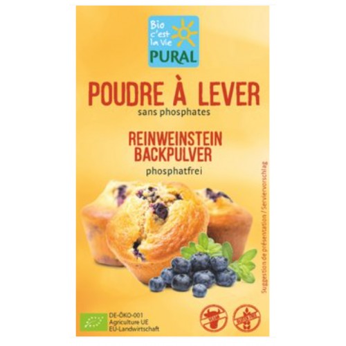 POUDRE à LEVER s/s gluten s/s phos21gx3