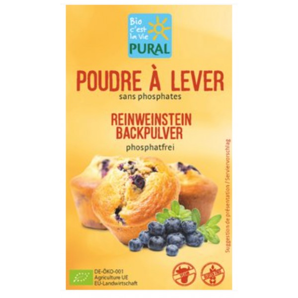 POUDRE à LEVER s/s gluten s/s phos21gx3