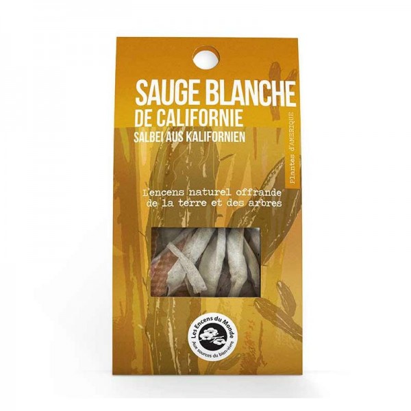 SAUGE BLANCHE de CALIFORNIE tresse SAUGE BLANCHE de CALIFORNIE tresse
