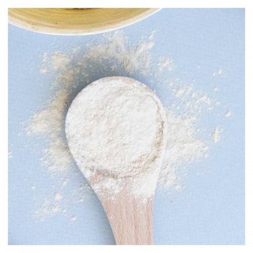 PSYLLIUM BLOND   FARINE  300g