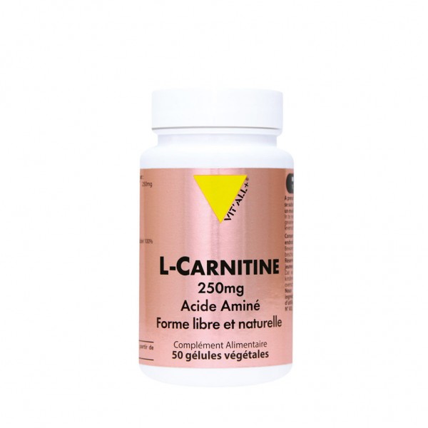 VIT'ALL+ L-CARNITINE 250 MG 50 GELULES VEGETALES VIT'ALL+ L-CARNITINE 250 MG 50 GELULES VEGETALES