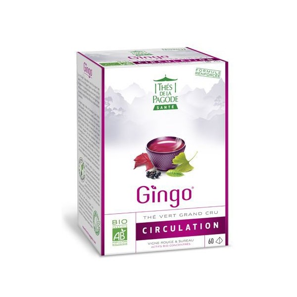THE GINGO CIRCULATION 60 inf/boîte 120g THE GINGO CIRCULATION 60 inf/boîte 120g
