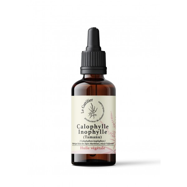 CALOPHYLLE INOPHYLLE TAMANU HV 50ml CALOPHYLLE INOPHYLLE TAMANU HV 50ml