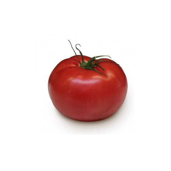 Tomate Ronde Grappe FR Tomate Ronde Grappe FR