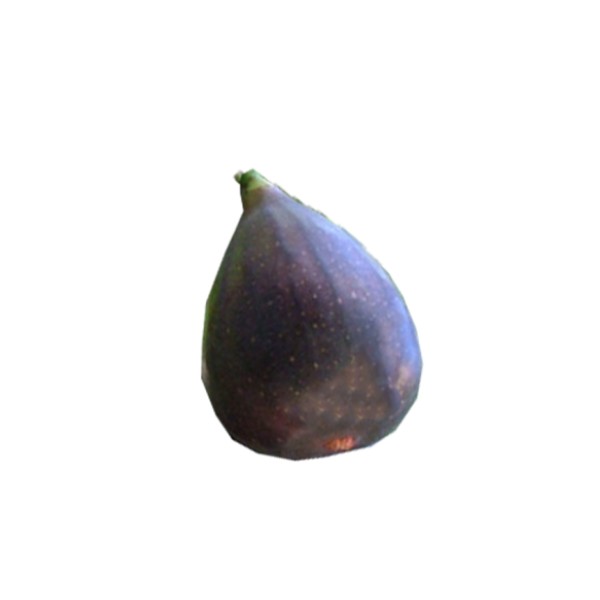 Figue noire France Figue noire France