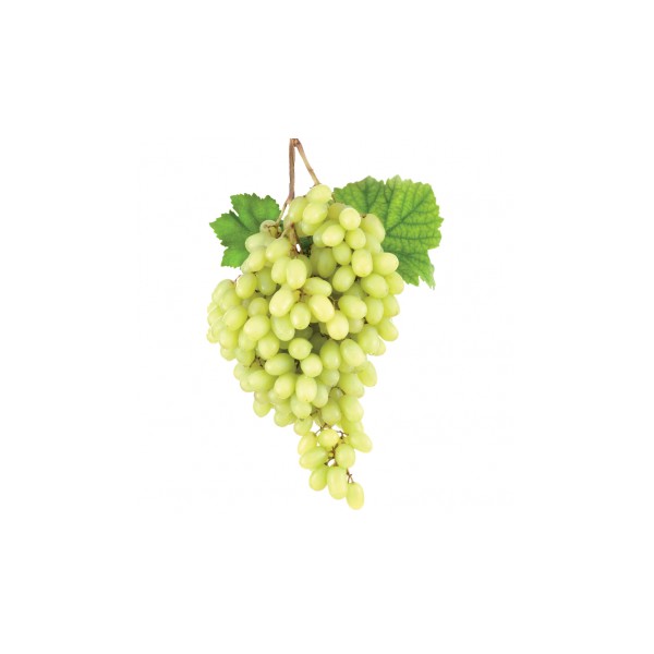 Raisin blans sans pépin Sugarone Italie Raisin blans sans pépin Sugarone Italie